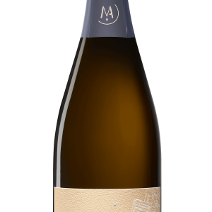 Michel Arnould «Genèse» Brut